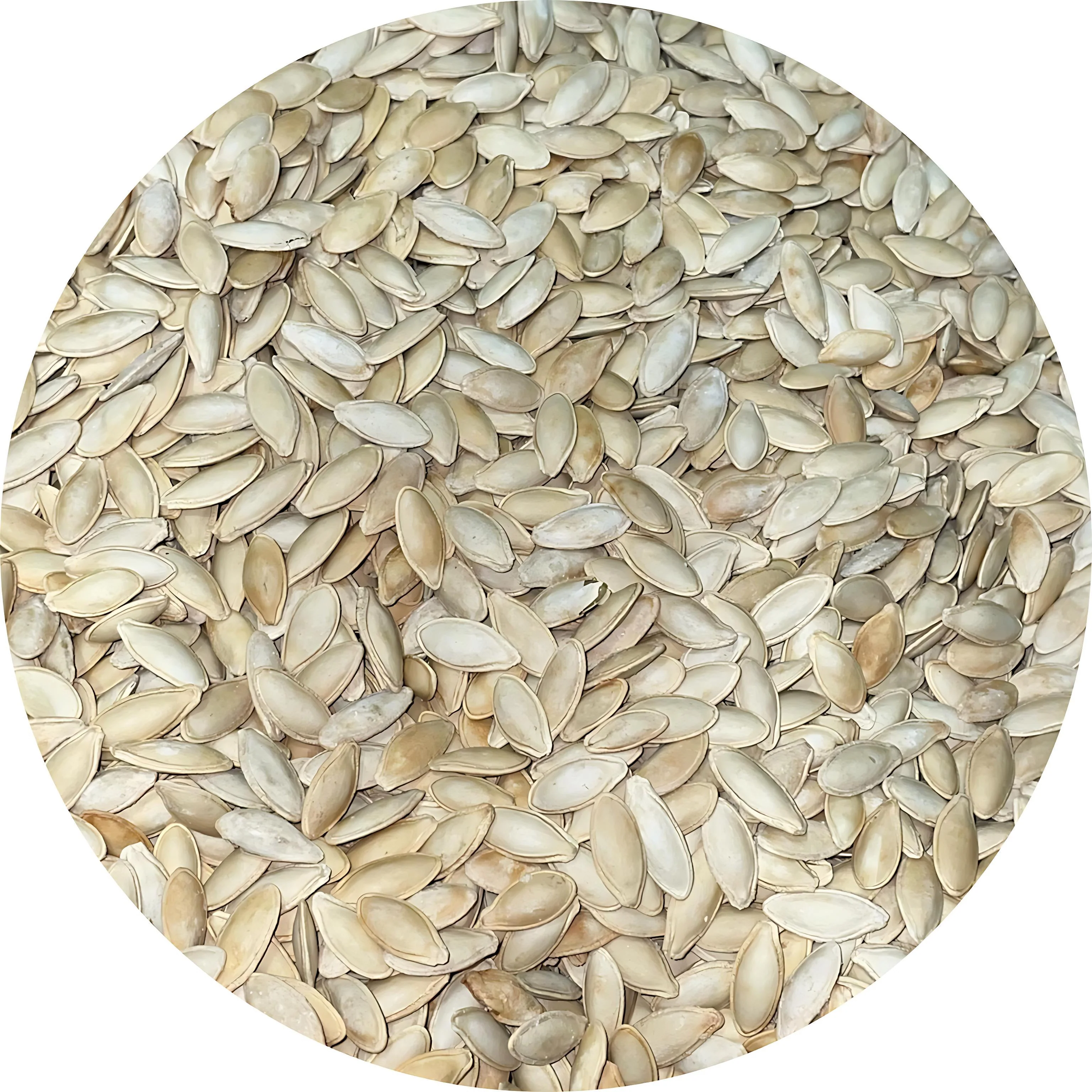 Jack's Pumpkin Seeds Lady Nail / Semilla | 20lb, Case - Image 7