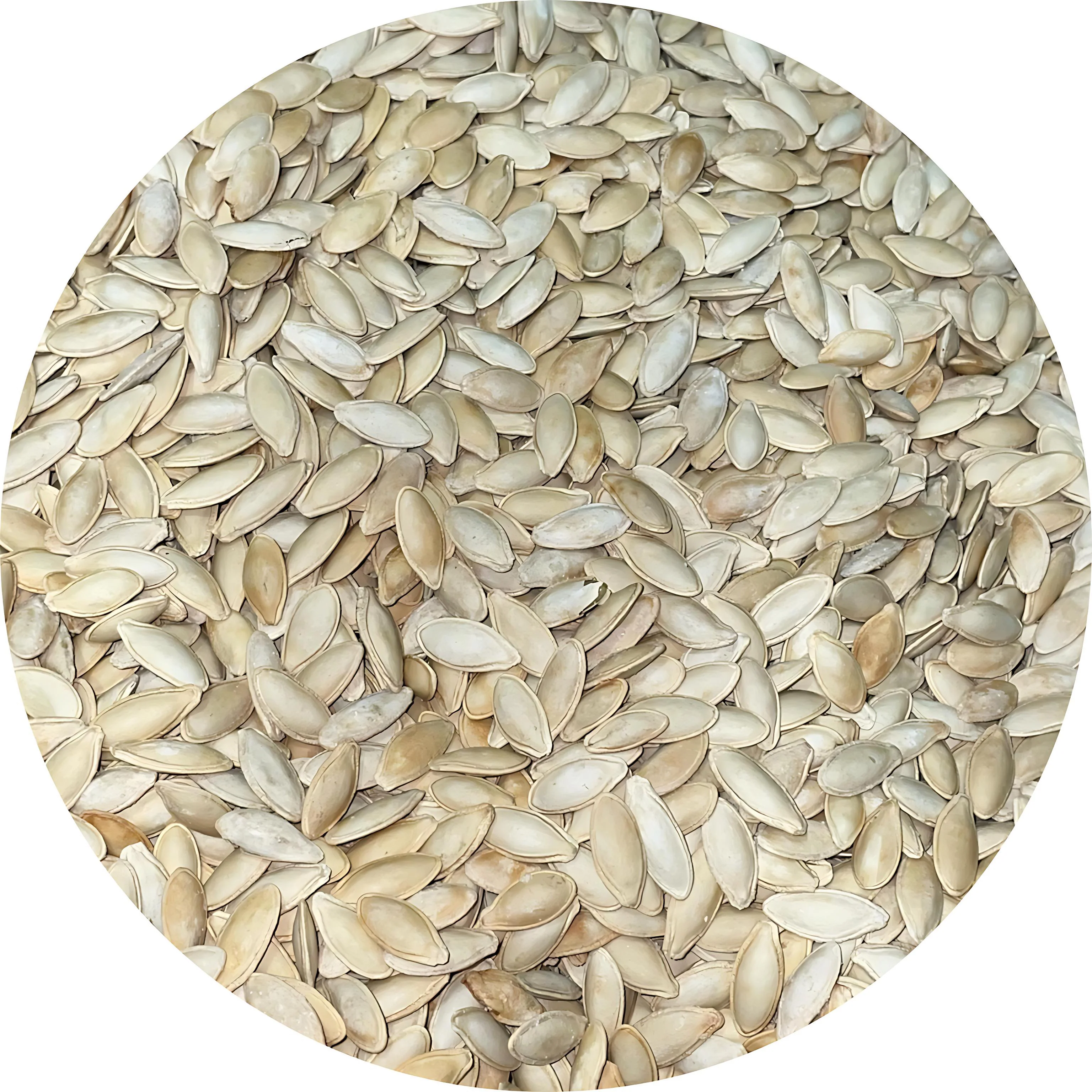 Jack's Pumpkin Seeds Lady Nail / Semilla | 20lb, Case - Image 8