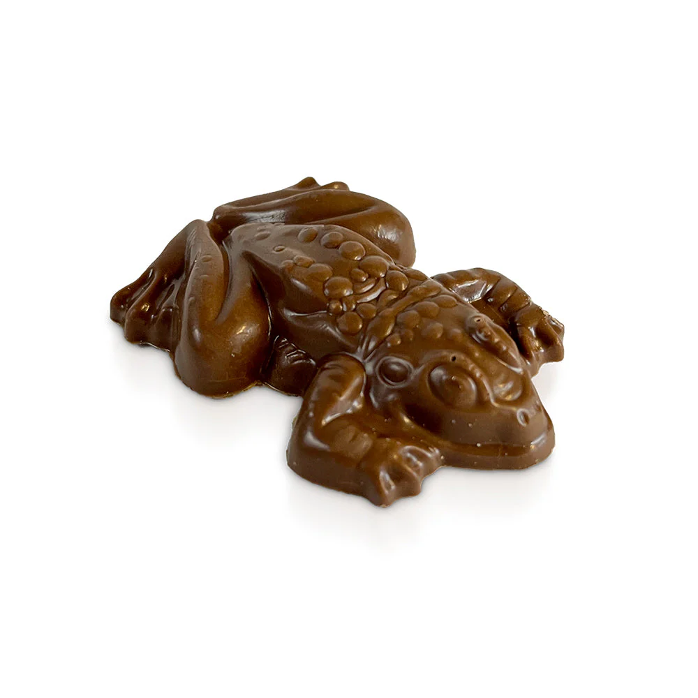 Jelly Belly Candy Harry Potter Chocolate Frog | 24ct, Case - Image 5